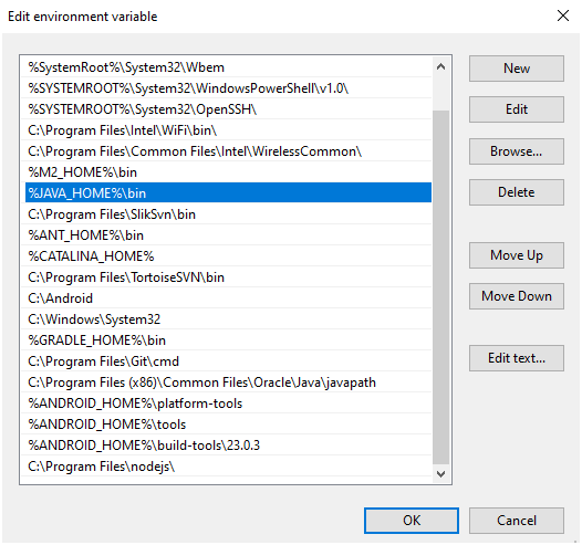 java_environmental variables